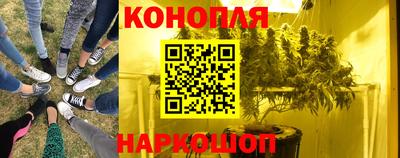 apvp Кунгур